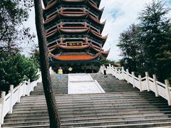 -铁山坪森林公园