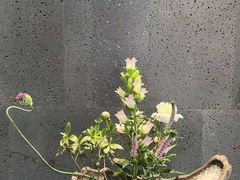 -帝京日语(春熙路旗舰校区)