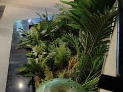 -菌彩云南野生菌火锅(呈贡七彩云南第壹城店)