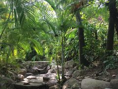 -三亚珠江南田温泉度假区