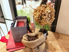 -代数学家algebraist(诚品店)