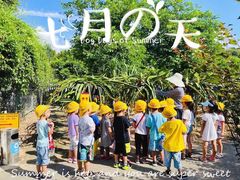 -加蒙特森林幼儿园(广州市增城区店)