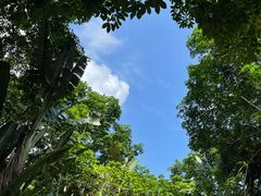 -海南热带野生动植物园