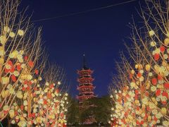 -龙华寺