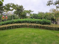 绿化环境-映月湖公园