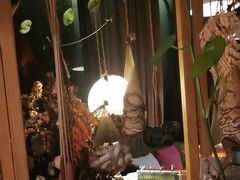 -肴约·花园式餐厅(湖里店)