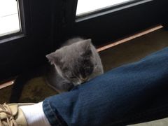 咪咪在闻臭腿腿-MIKAKU(万达广场上海宝山店)