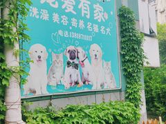-宠爱有家宠物店(环镇北路店)