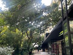 -T館·花园艺术餐厅