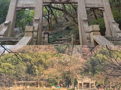 -惠山国家森林公园