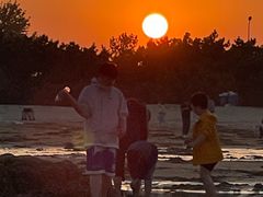 -日照海滨国家森林公园