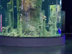 -福州罗源湾海洋世界旅游区