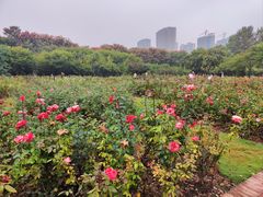 -郑州植物园
