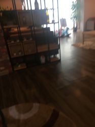 -小熊维尼高端儿童摄影(南山信和店)
