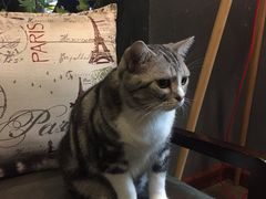 -咖法森林·咖啡  酒吧(天河店)