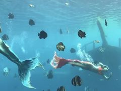 -瑞德姆美人鱼海底演艺主题餐厅(亚龙湾店)