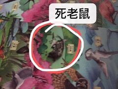 -鹅城