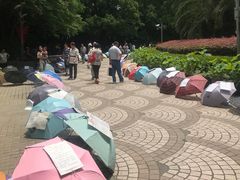 -人民公园-相亲角