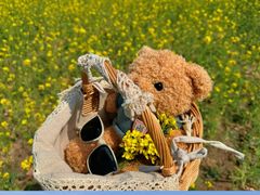 -天津武清北运河郊野公园房车露营地