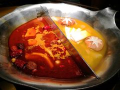红颜花胶鸡锅-湊湊火锅·茶憩(石家庄万象城店)