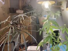 -如果·追梦手工皮具DIY教学店(田子坊店)