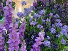 -蝶园·装修中(BFC外滩金融中心店)