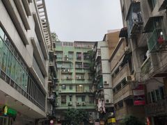 -洪馨椰子