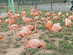 -秦皇岛野生动物园