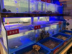 -小龍鳳·港式海鲜打边炉(沙湖路店)