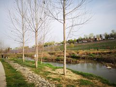 -洨河生态公园