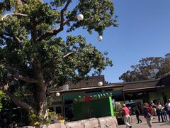 -圣地亚哥动物园