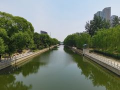 -大望京公园