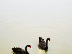 -中国农业博物馆