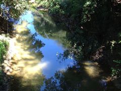 -怀托摩萤火虫洞