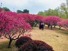 -莲花池公园