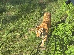 -泉州海丝野生动物世界