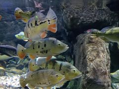 -多彩贵州城极地海洋世界