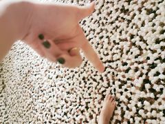 -金源温泉休闲会馆