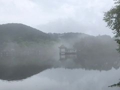-庐山风景区花径公园