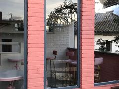 -喵屿·大理花园猫咖