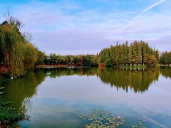 -艾溪湖湿地公园