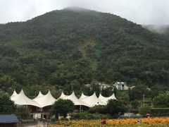 -德庆盘龙峡生态旅游区