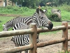 -大连森林动物园