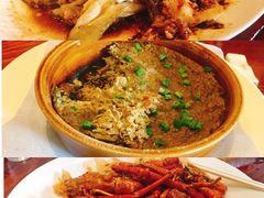 -顺德了能馆(虎门店)