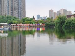 -成都南湖公园