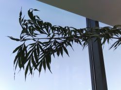 -颜蕾医美·黄金微针·水光·玻尿酸·超声炮·抗衰中心