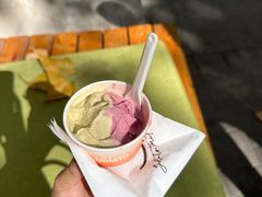 -Dip in Gelato(富民路店)