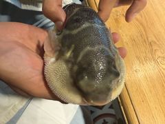 -永安鱼庄·镇江菜(丁卯店)