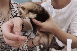 -Moni星球萌宠·小马宝莉·灵蛇·高端高阶全萌宠互动体验俱乐部(红豆国际广场店)