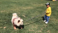 -上美四季动物农场
